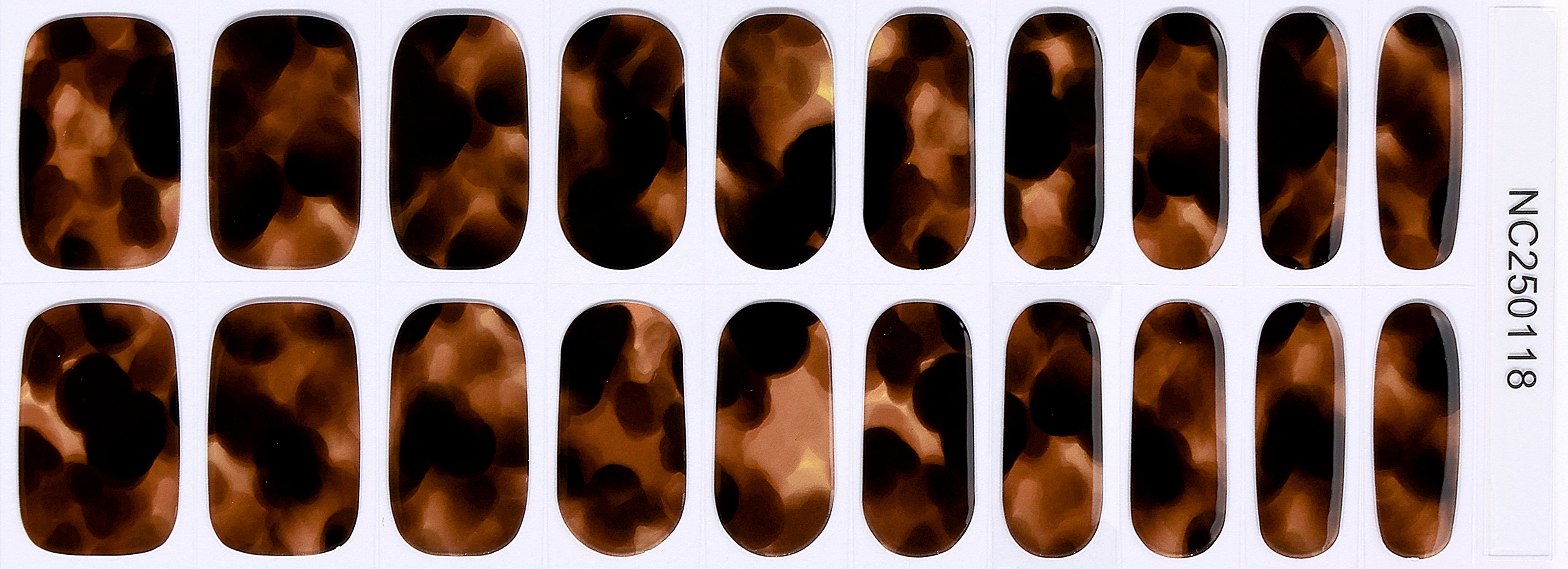 Amber Tortoise